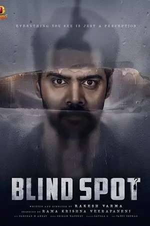blind spot 2025 , Moviesflix